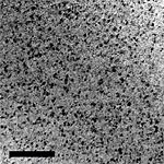 Cветлопольное изображение поликристаллической пленки 30 нм CoFe (метка = 100 нм). 