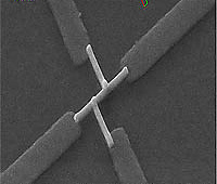 СЭМ снимки структуры осажденных контактов из платины для электрофизических исследований