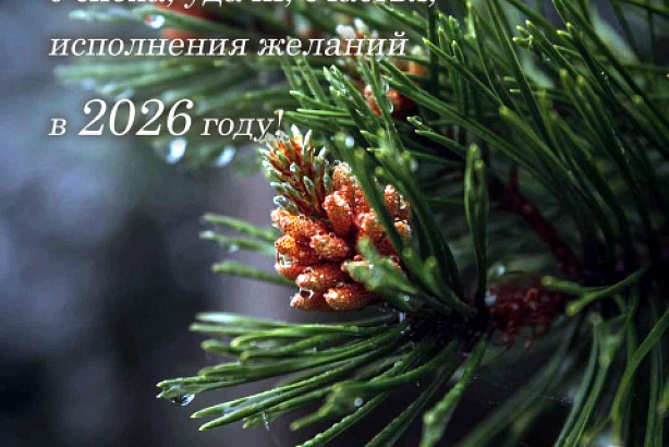 С Новым годом!